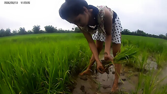 Telanjang Di Sawah Umum Dengan Gadis Asia Yang Menggoda